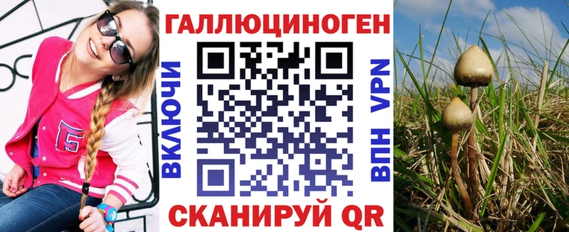 OMG онион  наркотики  Шенкурск  Галлюциногенные грибы Cubensis 